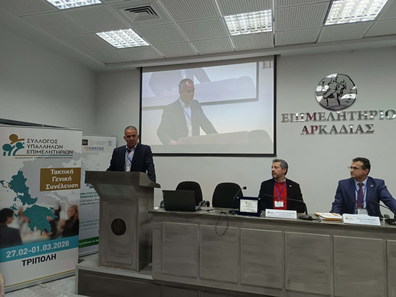 642089862-776735712169052-5786525845680182368-n.jpg?v=0