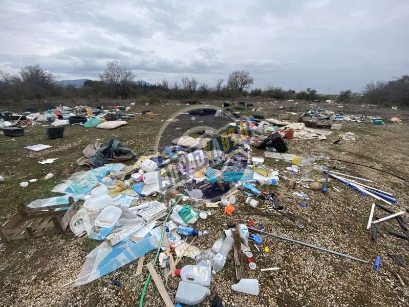 475978227-1296153434838596-2829212446649286354-n.jpg?v=1