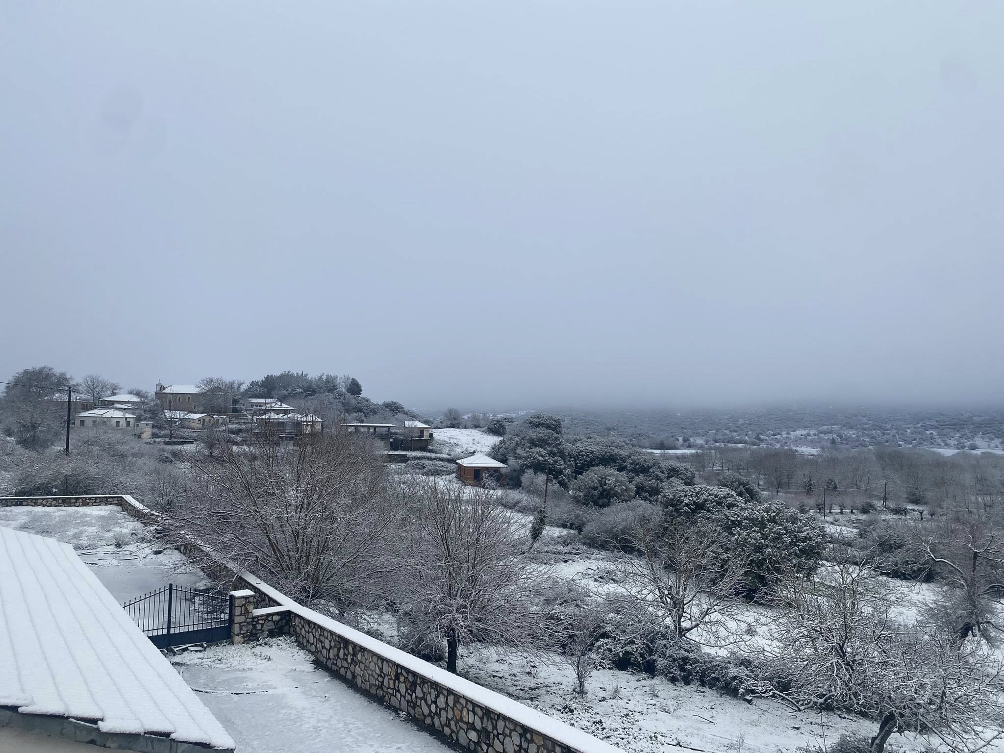 615119374-4143665029278006-3137547925750131416-n.jpg?v=0