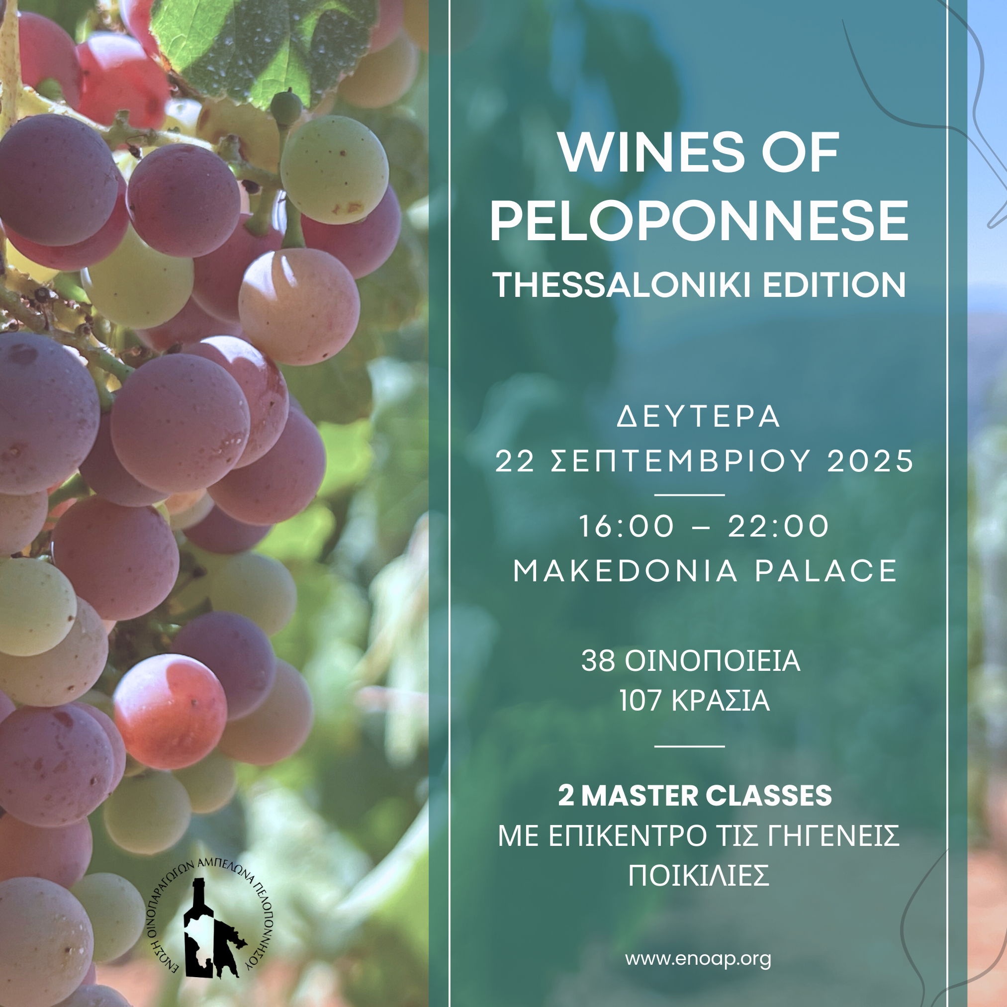 Δελτίο Τύπου