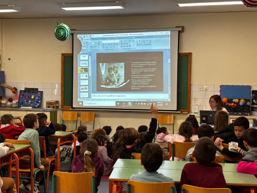 Δελτίο Τύπου