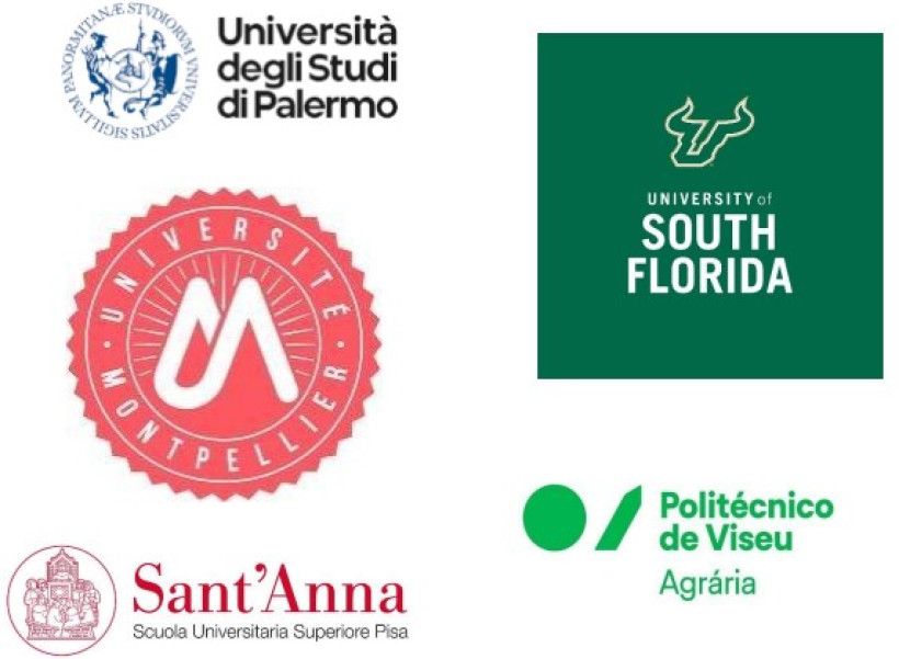 Δελτίο Τύπου