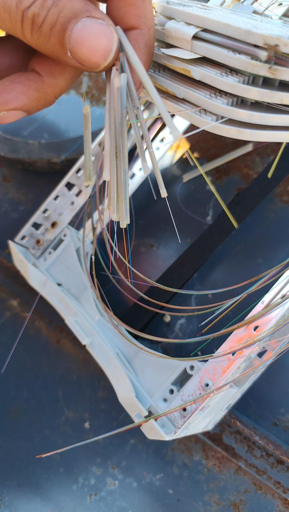 Δελτίο Τυπου