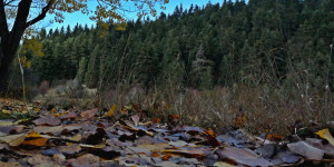 "Οχι" και από την Περιφερειακή Επιτροπή Περιβάλλοντος στην εγκατάσταση ανεμογεννητριών στο Μαίναλο