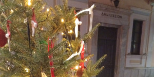 Η Τρίπολη δείχνει τον δρόμο... Θα φυτευτούν όλα τα έλατα που στόλισαν την πόλη στις εφετινές γιορτές!