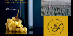 Παρουσίαση βιβλίου από το Φιλοτεχνικό Όμιλο Τρίπολης