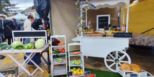 "Στο επίκεντρο ο αθλητισμός, ο πολιτισμός, η Αρκαδική γη και η ενσυναίσθηση στα Γεωργάντεια 2026"