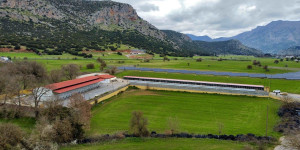 Δήμος Τρίπολης: "Εξασφαλίσαμε και την άδεια λειτουργίας του Δημοτικού Καταφυγίου"