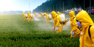 "Ντροπή της κυβέρνησης που «σερβίρει» νέα μεταλλαγμένα στο πιάτο μας"