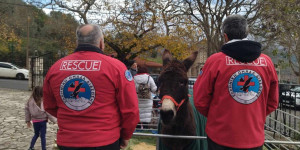 Η Ελληνική Ομάδα Διάσωσης Αρκαδίας στα "ΙπποΧριστούγεννα 2024"