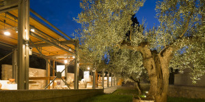 "Φαίδρα": Μουσικοαφηγηματική παράσταση στο Μουσείο Ελιάς και Ελληνικού Λαδιού