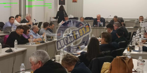 Τρίπολη: Σε μελλοντικό, δημοτικό συμβούλιο η επί της ουσίας συζήτηση για τα αδέσποτα