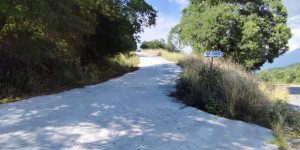 Ερώτηση στη Βουλή για τις αποψιλώσεις στο δάσος του Μαινάλου