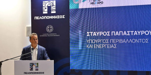 Παπασταύρου για Πτωχό: Ήρθε να ενώσει και όχι να διχάσει