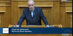 Ο Γιώργος Παπαηλιού στην Ολομέλεια για το αγροτικό