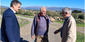 "Πρώτα η Πελοπόννησος": Ζητάμε τη στήριξη της κτηνοτροφικής δραστηριότητας στην Αρκαδία και στην Πελοπόννησο