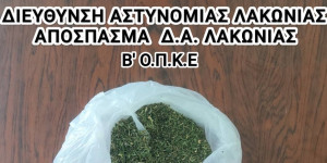 Λακωνία: Χειροπέδες σε 63χρονο για υπόθεση ναρκωτικών