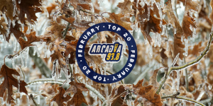 Φεβρουάριος 2026: TOP20 ελληνικής και ξένης μουσικής