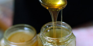 Αποζημιώνονται οι μελισσοκόμοι από το μέλι ελάτης από το Μαίναλο