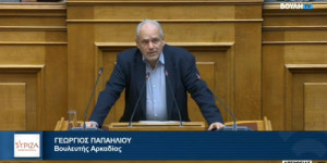 Αναφορά Παπαηλιού στη Βουλή για την επιστολή της "Ένωσης" προς τον ΕΛΓΑ