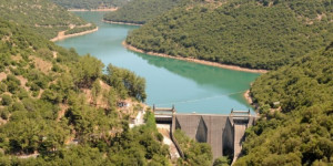 Τιμητική διάκριση στους Διευθυντές του ΥΗΣ Λάδωνα από την Παγγορτυνιακή Ένωση