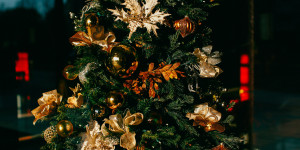 Όλο το πρόγραμμα των χριστουγεννιάτικων εκδηλώσεων στον Δήμο Μεγαλόπολης