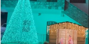 Οι Κολλίνες "φόρεσαν" τα... γιορτινά τους