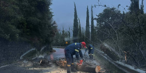 Πυροσβέστες απομάκρυναν δένδρα στον δρόμο για το Λευκοχώρι Γορτυνίας