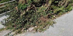 Δήμος Τρίπολης: «Σεβόμαστε το περιβάλλον - Δεν εναποθέτουμε κλαδιά σε δημόσιους χώρους»