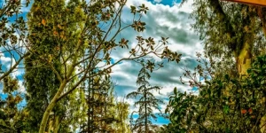 Τρίπολη: Ο καιρός σήμερα, 8 Φεβρουαρίου