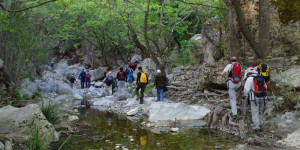 Εκδρομή του ΣΑΟΟ στον Πάρνωνα και τα Καστριτοχώρια