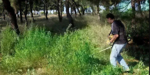 Αντιπυρική Περίοδος: Υποχρεωτικός καθαρισμός οικοπέδων και δήλωση στο Μητρώο