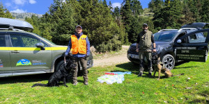 Εντοπίστηκαν 95 δηλητηριασμένα δολώματα και νεκρός σκύλος στον Πάρνωνα!