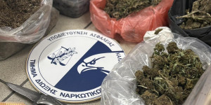 Συνελήφθη 64χρονος για παράβαση των νομοθεσιών για τα ναρκωτικά και για τα όπλα στη Μεσσηνία