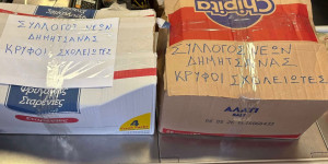 Συνέδραμε δύο οικογένειες ο Σύλλογος Νέων Δημητσάνας "Κρυφοί Σχολιώτες"!