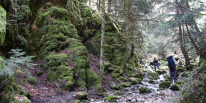 Με τον Σ.Α.Ο.Ο. στο κεντρικό Μαίναλο