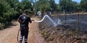 Άμεσα κατασβήστηκε η φωτιά σε χαμηλή βλάστηση στα Χάνια Τριποταμιά