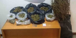 Πάνω από 4 κιλά κάνναβης κατασχέθηκαν από το Τμήμα Δίωξης Ναρκωτικών Καλαμάτας