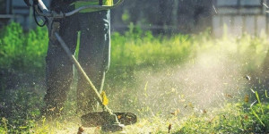 Παράταση έως 22 Ιουνίου για τον καθαρισμό και τη δήλωση οικοπέδων
