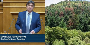 Ερώτηση στη Βουλή για την εκτεταμένη ξήρανση των ελάτων σε Μαίναλο και Πάρνωνα