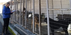 H Ειδική Γραμματεία για την Προστασία των Ζώων Συντροφιάς για το καταφύγιο του Δήμου Τρίπολης