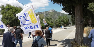 Η Ε.Ε.Δ.Υ.Ε. για το νομοσχέδιο της κυβέρνησης για τις Ένοπλες Δυνάμεις