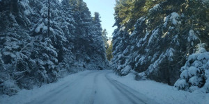 Μανδρώνης: "Αντιμετωπίστηκε αποτελεσματικά η κακοκαιρία στην Αρκαδία"