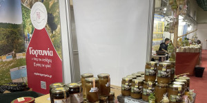 Με απόλυτη επιτυχία η συμμετοχή του Δήμου Γορτυνίας στο 15ο Φεστιβάλ Ελληνικού Μελιού