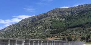 Εννιά βουλευτές του ΣΥΡΙΖΑ-Π.Σ. κατέθεσαν ερώτηση στη Βουλή για το δημοτικό κυνοκομείο Τρίπολης