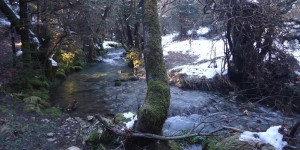 Στην πλατεία της Νυμφασίας η κοπή πίτας του ΣΑΟΟ
