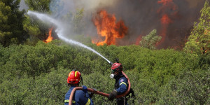 Πυρκαγιά στη Μεσσηνία αντιμετωπίστηκε από δυνάμεις της Πυροσβεστικής Υπηρεσίας