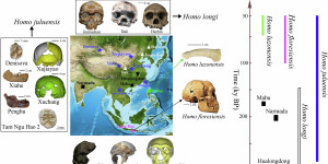 Ανακάλυψη που ανατρέπει όσα γνωρίζαμε: Βρέθηκε νέο αρχαίο ανθρώπινο είδος