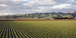 Η Πελοπόννησος στην πρωτοπορία της βιώσιμης γεωργίας με το GRECFL2