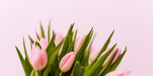 Eορτολόγιο: Ποιος γιορτάζει σήμερα 14 Μαΐου - Σε ποιους θα πείτε "χρόνια πολλά"